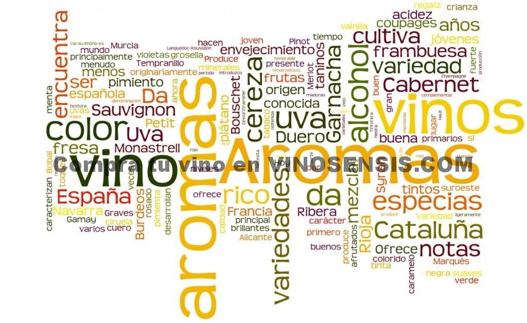 Aromas de las uvas tintas