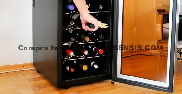 Por qué es buena idea invertir en un botellero frigorífico si de verdad te  gusta beber vino